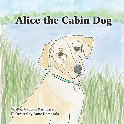 Alice The Cabin Dog