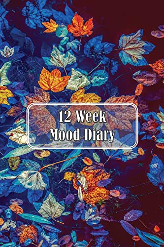 12 Week Mood Diary: One Page Per Day - 9781092427241
