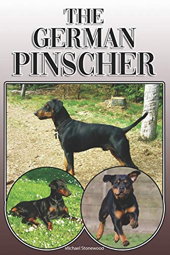 The German Pinscher: A Complete And Comprehensive Owners Guide To: Buying, Owning, Health, Grooming, Training, Obedience, Understanding And Caring For Your German Pinscher