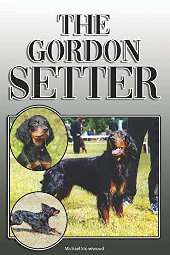 The Gordon Setter: A Complete And Comprehensive Owners Guide To: Buying, Owning, Health, Grooming, Training, Obedience, Understanding And Caring For Your Gordon Setter