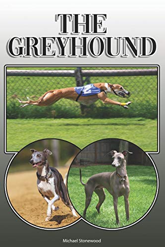 The Greyhound: A Complete And Comprehensive Owners Guide To: Buying, Owning, Health, Grooming, Training, Obedience, Understanding And Caring For Your Greyhound