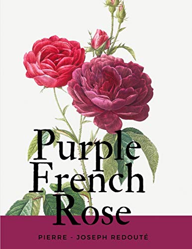 Purple French Rose (Les Roses)