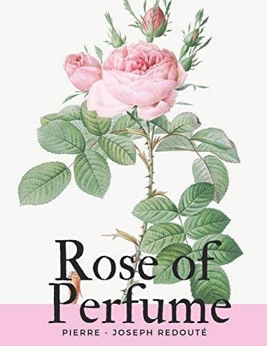 Rose Of Perfume (Lese Roses)