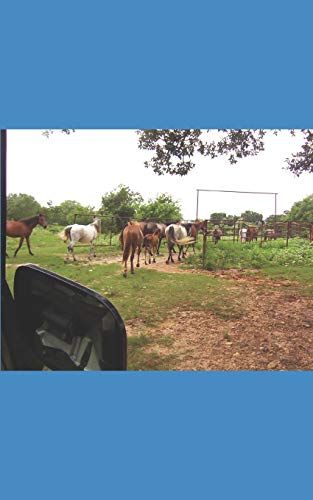 Queen Corine And King Chester