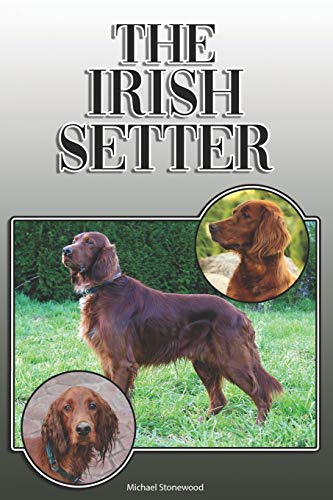 The Irish Setter: A Complete And Comprehensive Owners Guide To: Buying, Owning, Health, Grooming, Training, Obedience, Understanding And Caring For Your Irish Setter