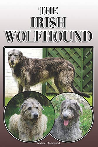 The Irish Wolfhound: A Complete And Comprehensive Owners Guide To: Buying, Owning, Health, Grooming, Training, Obedience, Understanding And Caring For Your Irish Wolfhound