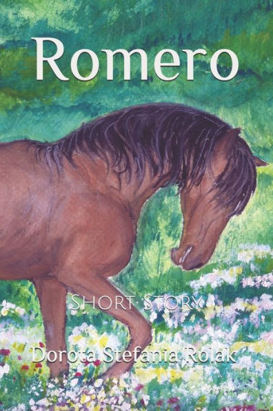 Romero: Short Story