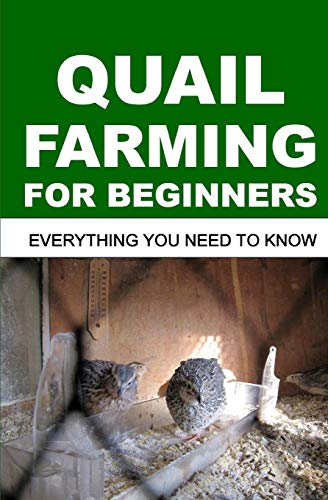 Quail Farming For Beginners: Everything You Need To Know