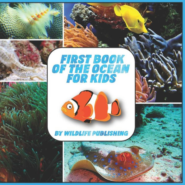 First Book Of The Ocean For Kids: Ocean Animals Activity Book
