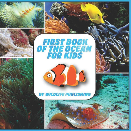 First Book Of The Ocean For Kids: Ocean Animals Activity Book