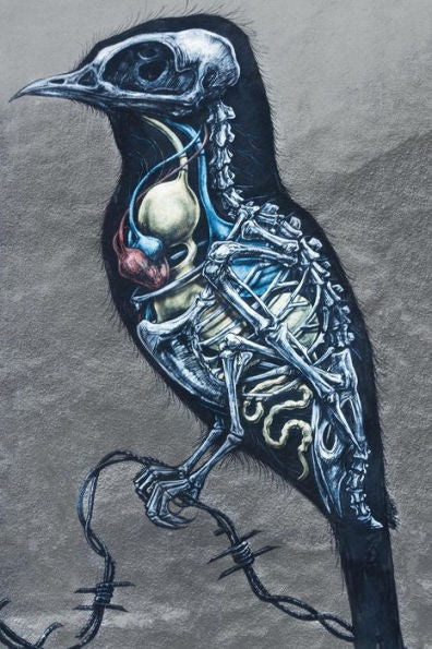 Raven Touch