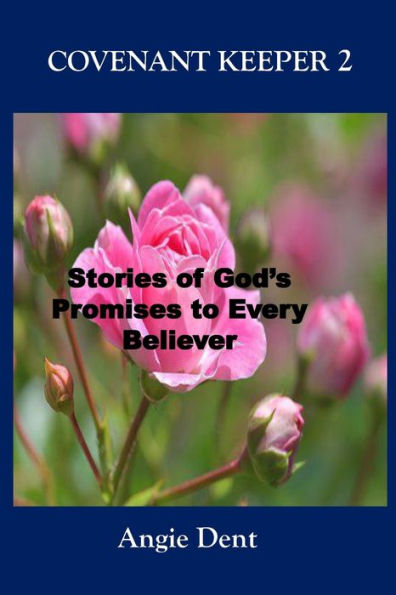 Covenant Keeper 2: Stories Of God's Promises To Every Believer
