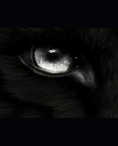 Wolf: Destruction: Book 5 Of The Wolf Series.