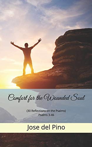 Comfort For The Wounded Soul: (30 Reflections On The Psalms) Psalms 3-46