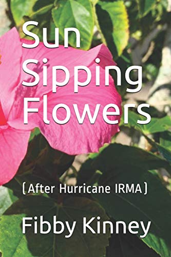 Sun Sipping Flowers: (After Hurricane Irma)