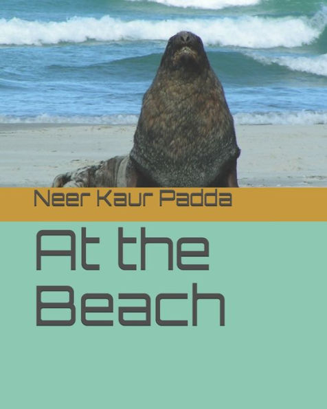 At The Beach - 9781099398674