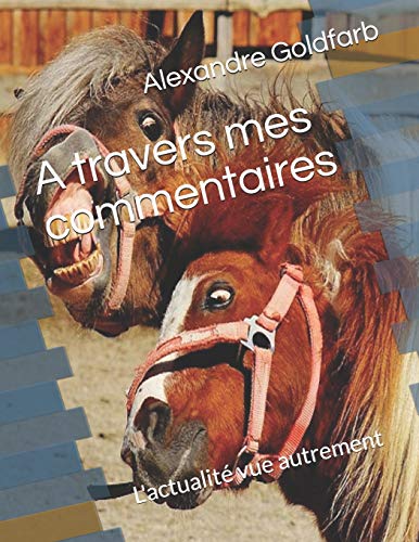 A Travers Mes Commentaires: L'Actualit?? Vue Autrement (French Edition)