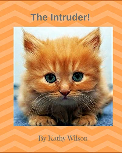 The Intruder - 9781099495755