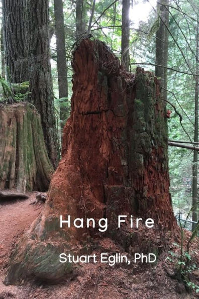 Hang Fire - 9781099585937