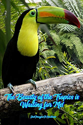 The Beauty Of The Tropics Is Waiting For Me!