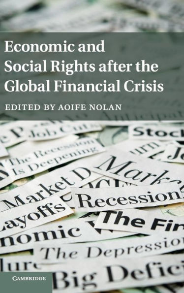 Economic And Social Rights After The Global Financial Crisis