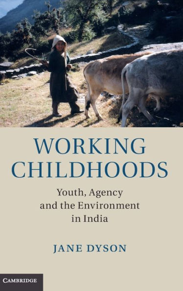 Working Childhoods: Youth, Agency And The Environment In India