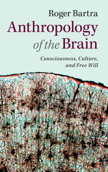 Anthropology Of The Brain: Consciousness, Culture, And Free Will