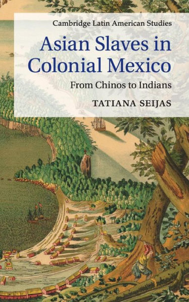 Asian Slaves In Colonial Mexico: From Chinos To Indians (Cambridge Latin American Studies, Series Number 100)