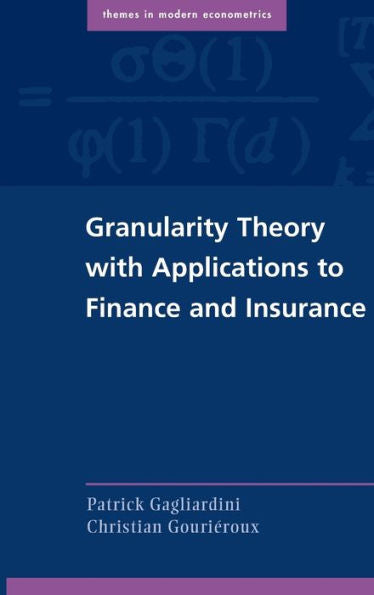 Granularity Theory With Applications To Finance And Insurance (Themes In Modern Econometrics)