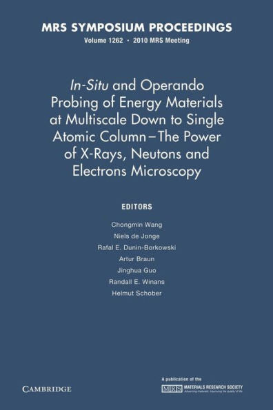 In-Situ And Operando Probing Of Energy Materials At Multiscale Down To Single Atomic Column - The Power Of X-Rays, Neutrons And Electron Microscopy: Volume 1262 (Mrs Proceedings)