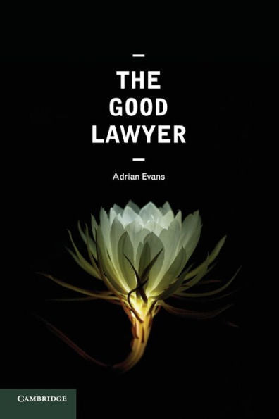 The Good Lawyer: A Student Guide To Law And Ethics