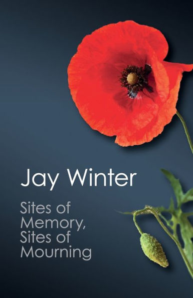 Sites Of Memory, Sites Of Mourning: The Great War In European Cultural History (Canto Classics)