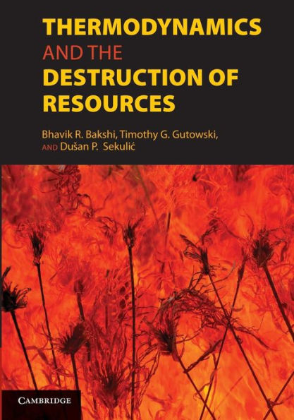 Thermodynamics And The Destruction Of Resources