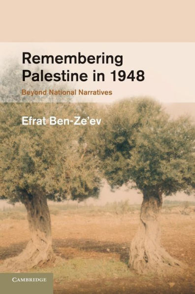 Remembering Palestine In 1948: Beyond National Narratives (Studies In The Social And Cultural History Of Modern Warfare)
