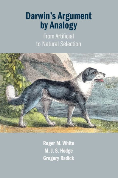 Darwin's Argument By Analogy