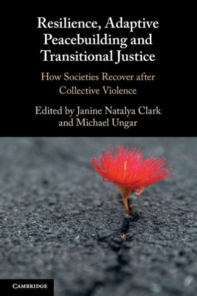 Resilience, Adaptive Peacebuilding And Transitional Justice