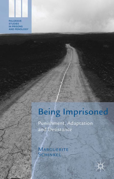 Being Imprisoned: Punishment, Adaptation And Desistance (Palgrave Studies In Prisons And Penology)
