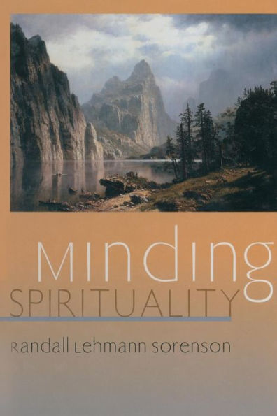 Minding Spirituality (Relational Perspectives Book Series)