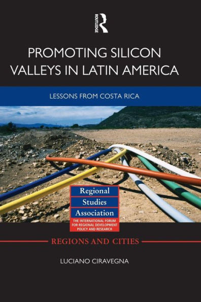 Promoting Silicon Valleys In Latin America (Regions And Cities)