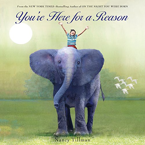 You'Re Here For A Reason (Nancy Tillman Collection)