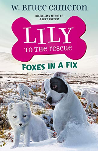Lily To The Rescue: Foxes In A Fix (Lily To The Rescue!, 7) (Paperback)
