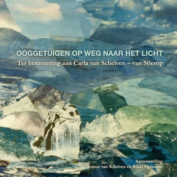Ooggetuigen Op Weg Naar Het Licht (Dutch Edition)