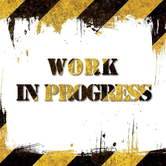 Work In Progress (Italian Edition)