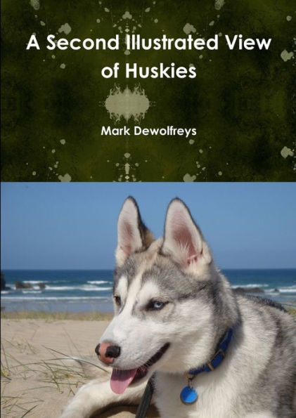 A Second Illustrated View Of Huskies