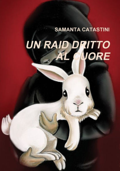 Un Raid Dritto Al Cuore (Italian Edition)