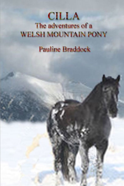 Cilla The Adventures Of A Welsh Mountain Pony
