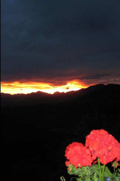 Con Denti Trasparenti (Italian Edition)