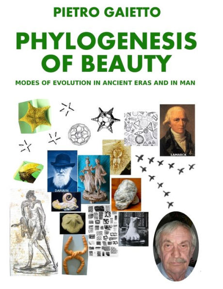 Phylogensesis Of Beauty
