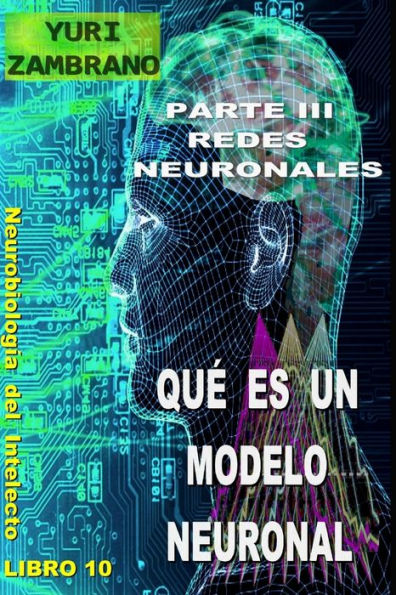 Qu?Es Un Modelo Neuronal (Spanish Edition)