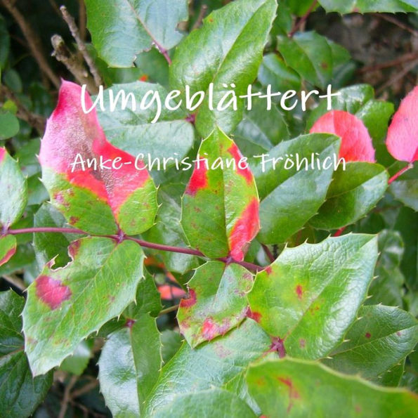 Umgeblättert (German Edition)